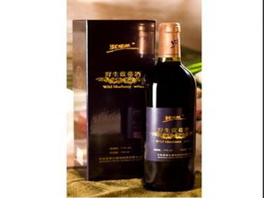 野生藍(lán)莓酒加盟 代理 野生藍(lán)莓酒加盟 電話 加盟費(fèi)多少錢