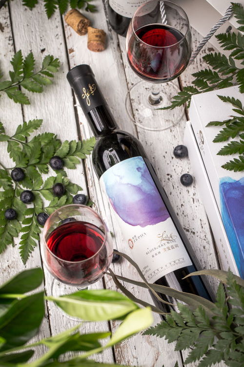 青島紫斐酒業(yè)攜旗下全系藍(lán)莓果酒亮相上海果酒展