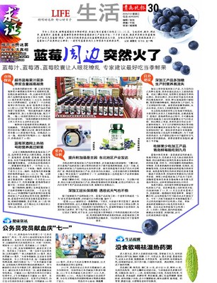 青島報紙電子版