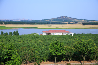 藍(lán)莓酒成國(guó)際酒業(yè)"后起之秀" 青島酒莊參與制定國(guó)家標(biāo)準(zhǔn)|青島|半島網(wǎng)