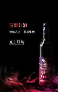 藍(lán)莓紅酒微場景