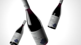 藍(lán)莓酒包裝設(shè)計(jì)