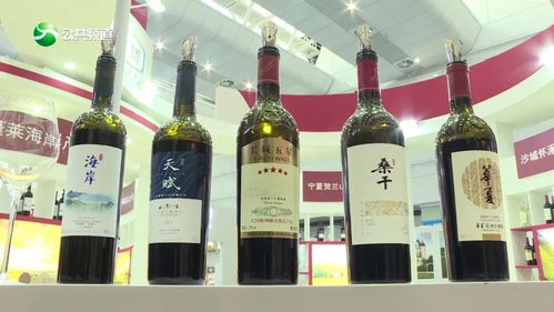 宜賓人,這個(gè)地方一定要去,美女加美酒好熱鬧 視頻 玉鑫