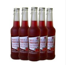 青島瑪麗龍舌蘭與藍莓酒 批發價格、廠家及市場概況