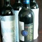 北極泉高山藍莓酒 源自大興安嶺的野生精華，青島匠心釀造的琥珀佳釀