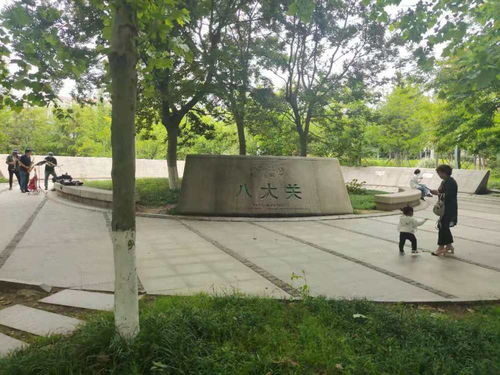 青島一日 海風、親人、藍莓酒香