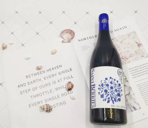 過年碰杯必備，1500顆A級藍莓成就一瓶醇香——品味青島藍莓酒